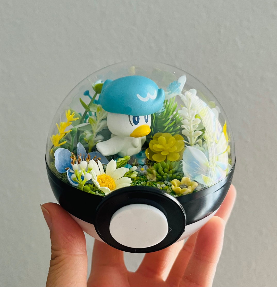Quaxly Pokeball Terrarium