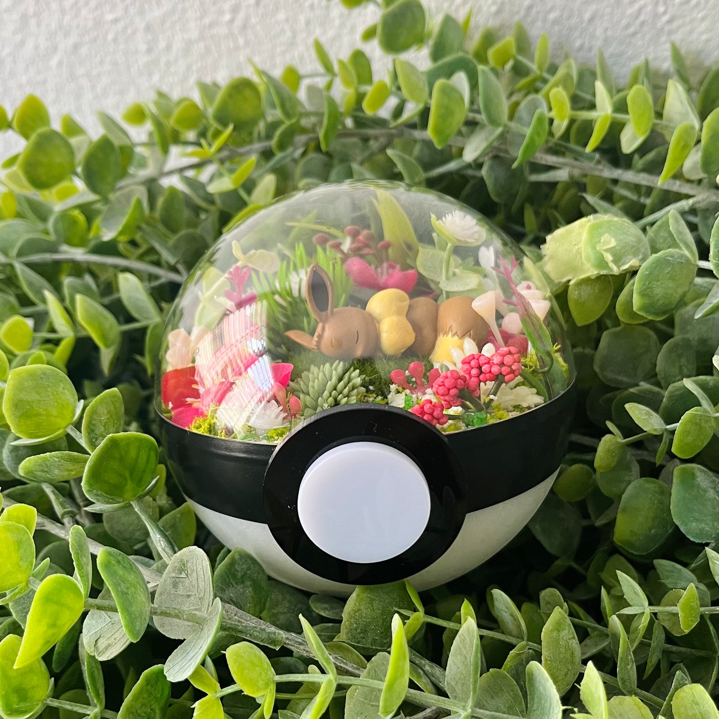 Eevee Pokeball Terrarium