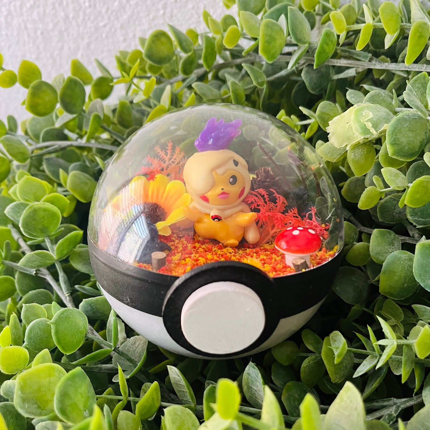 Pikachu Litwick Cosplay Pokeball Terrarium