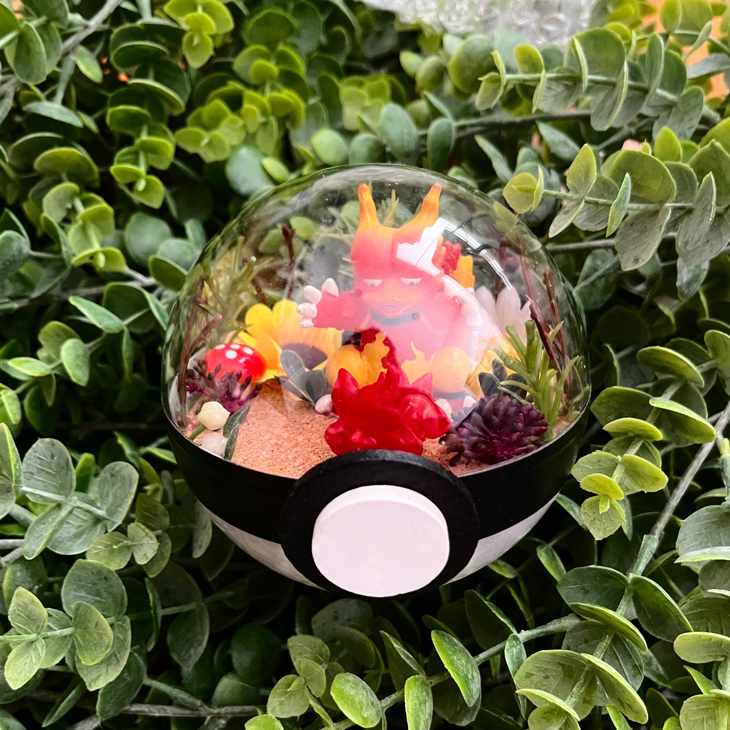 Magmar Pokeball Terrarium