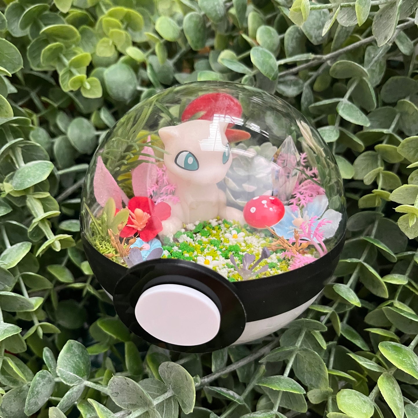 Mew Pokeball Terrarium