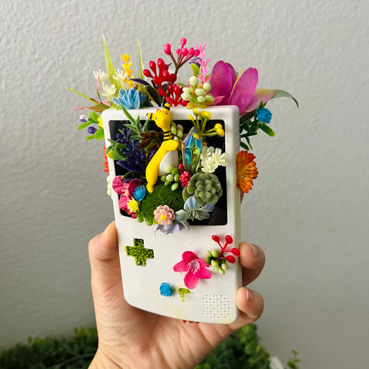 Ampharous Gameboy Terrarium