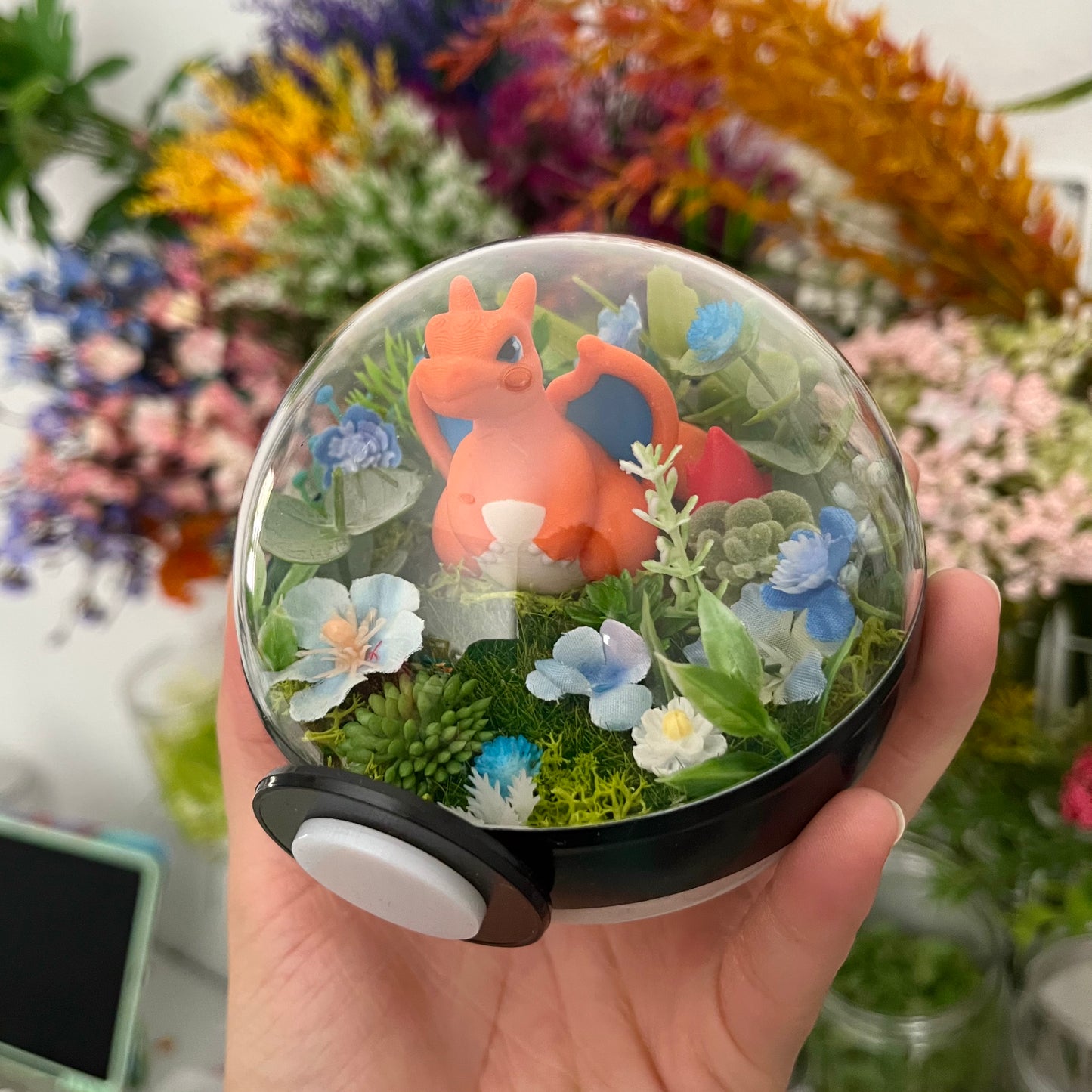 Charizard Pokeball Terrarium