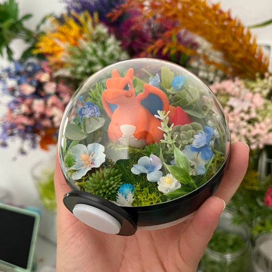 Charizard Pokeball Terrarium