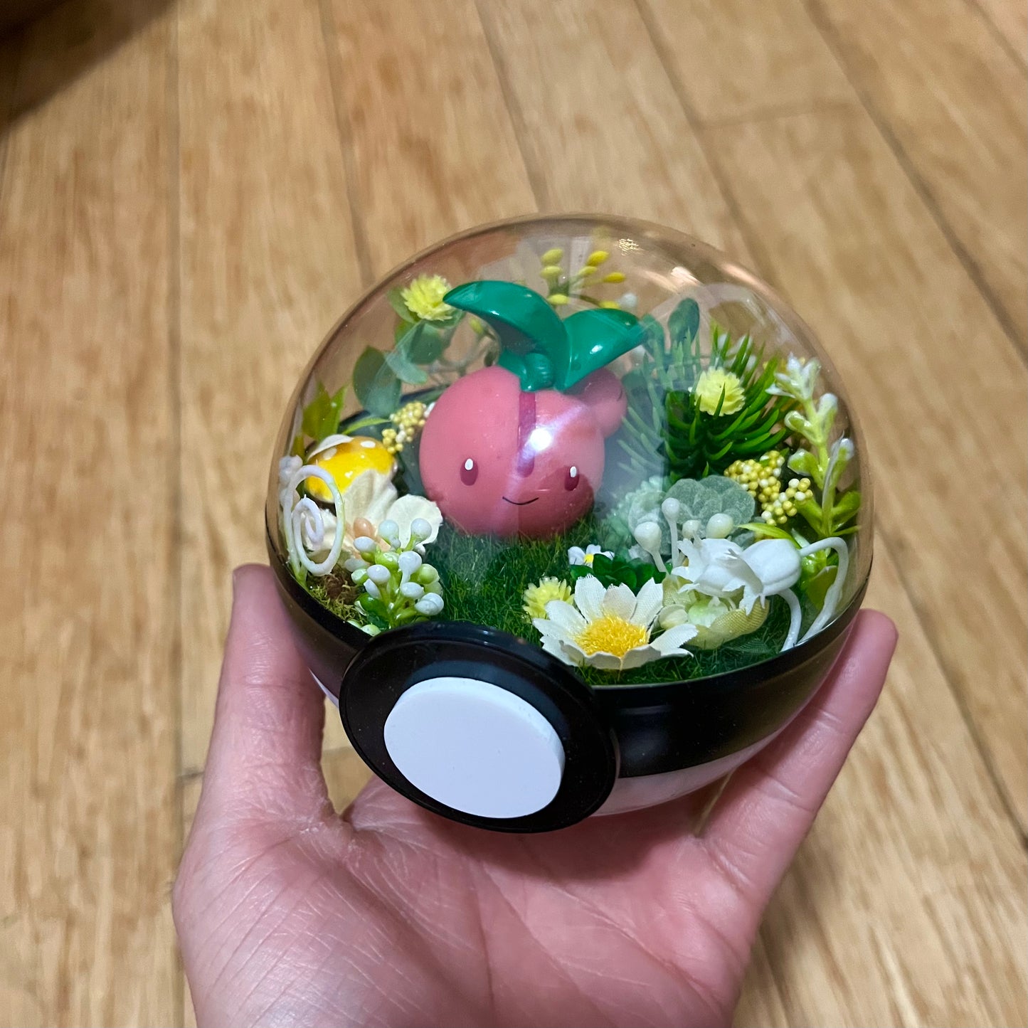 Cherubi Pokeball Terrarium