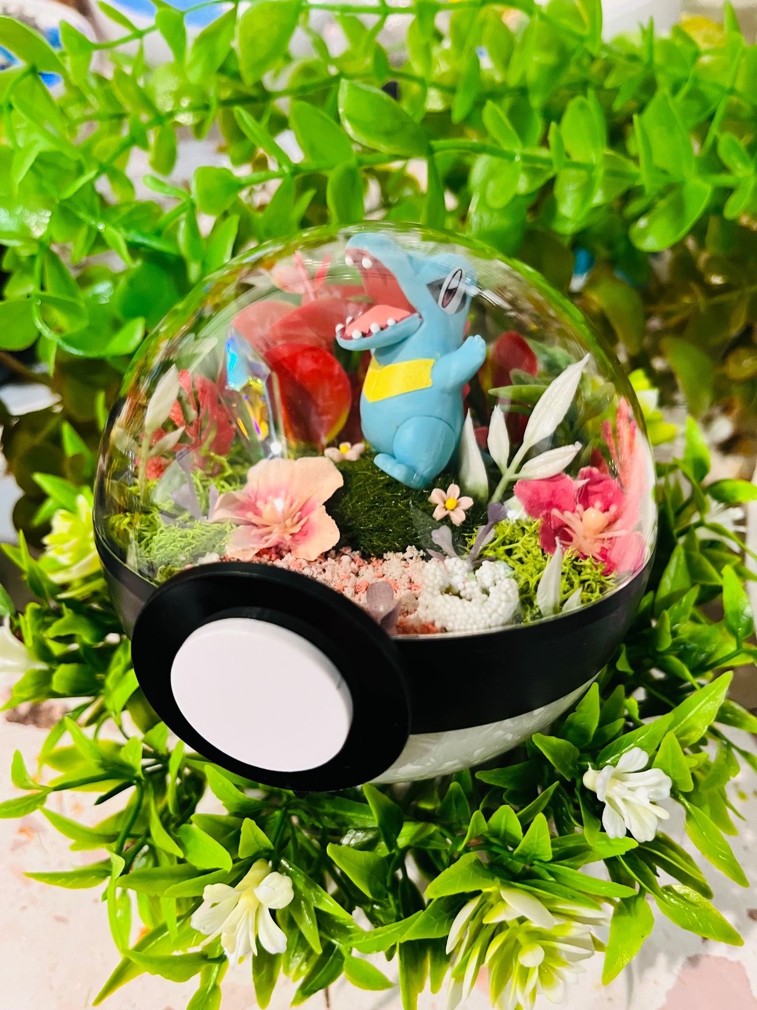 Pokeball Terrariums