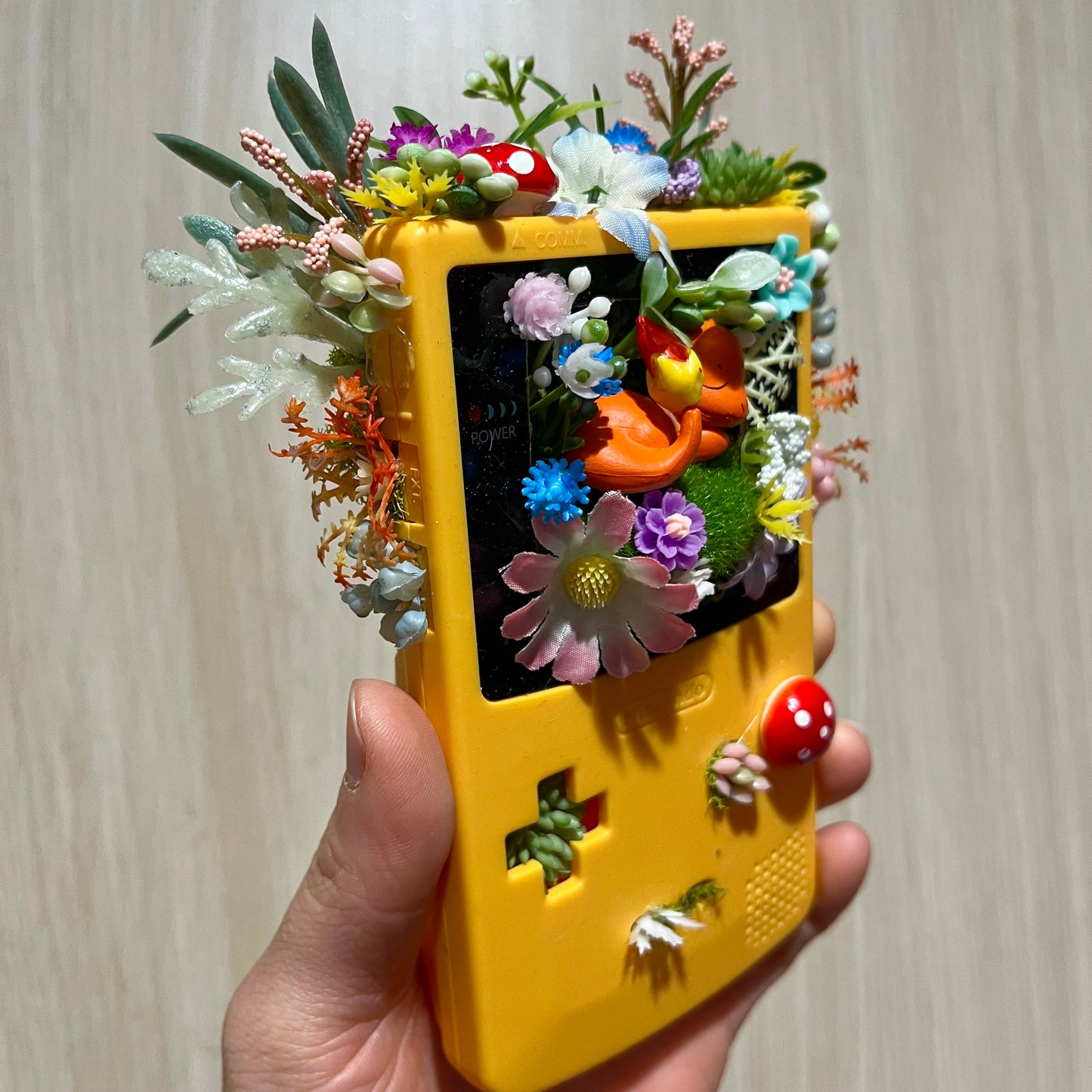 Charmander Gameboy Terrarium