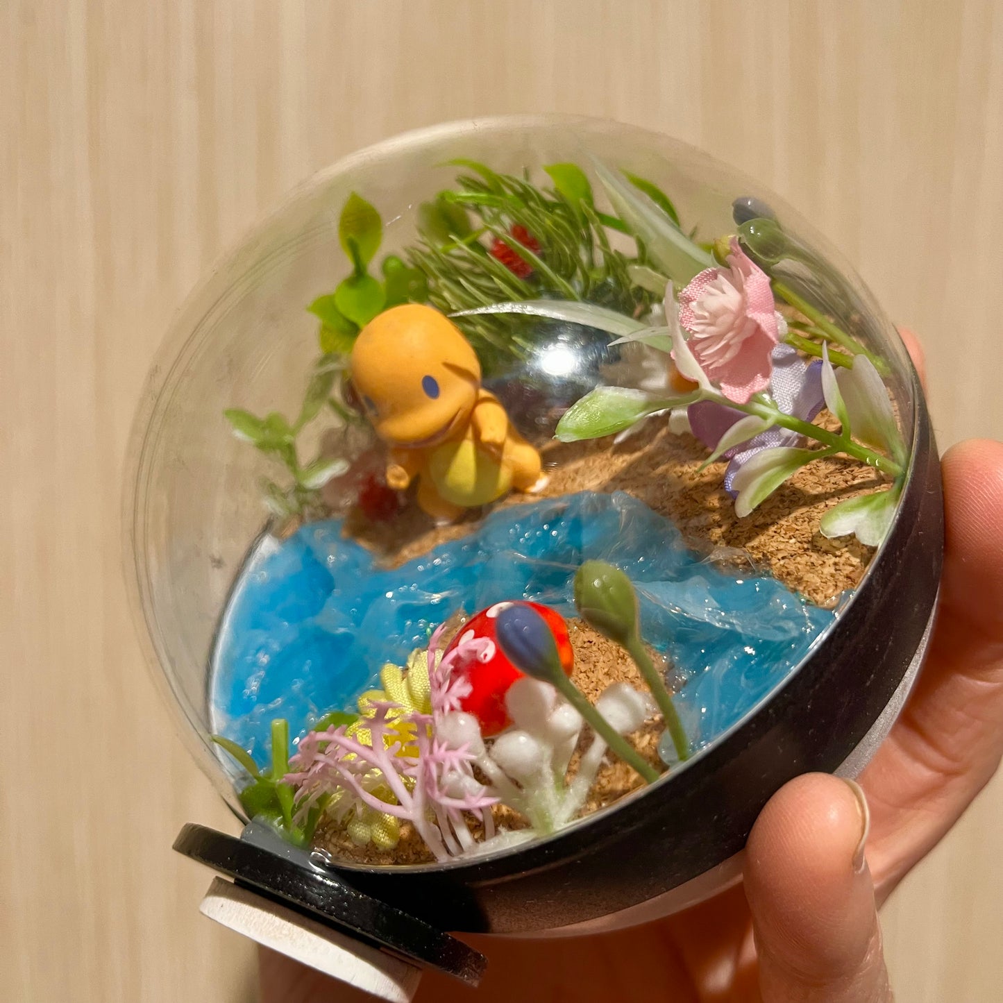 Ditto Charmander Riverside Pokeball Terrarium *discount for older design*