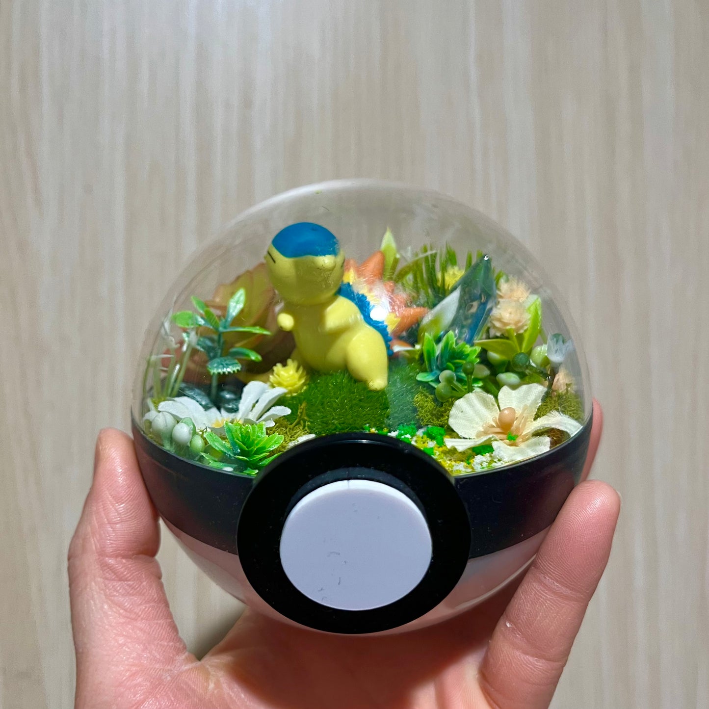 Cyndaquil Pokeball Terrarium