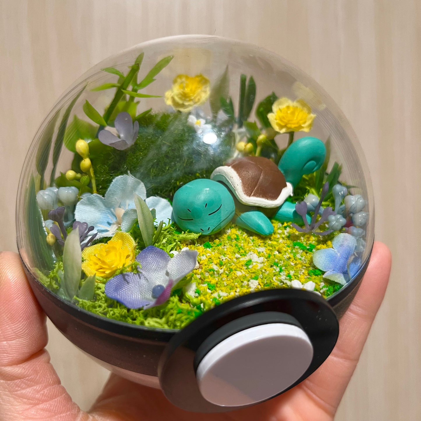 Sleeping Squirtle Pokeball Terrarium *discount for flaw*