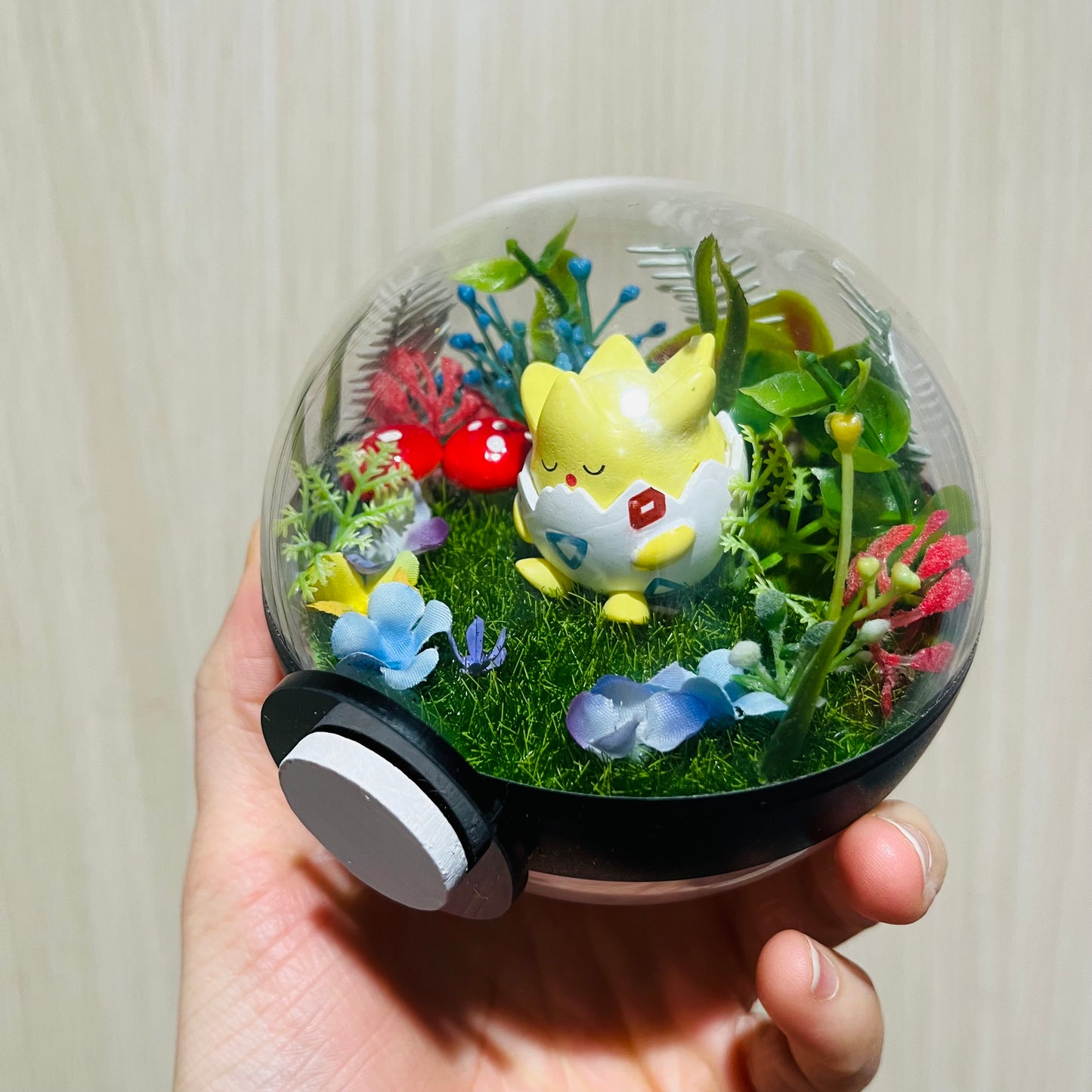 Togepi Pokeball Terrarium