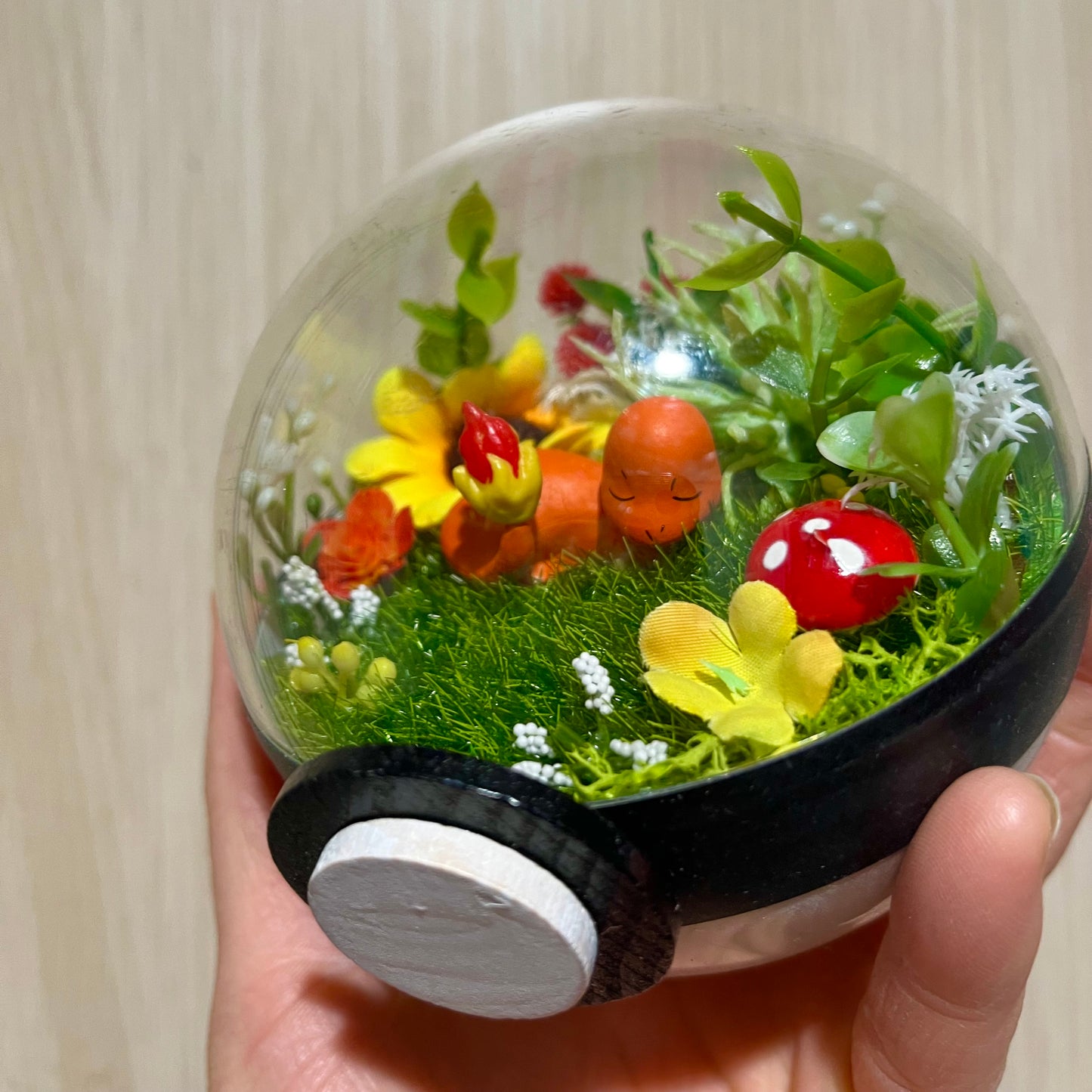 Sleepy Charmander Foresty Pokeball Terrarium *discount for older design*