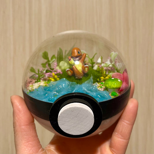 Charmander Riverside Pokeball Terrarium *discount for older design*