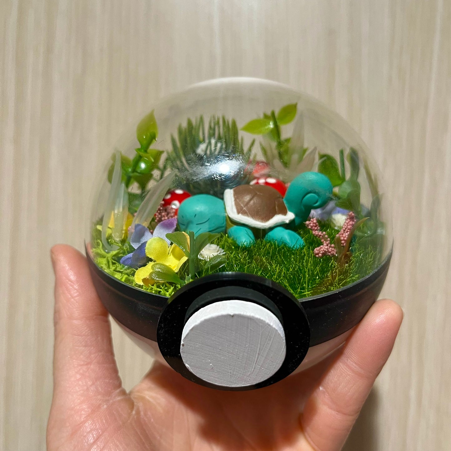 Sleeping Squirtle Forest Pokeball Terrarium *discount for older design*