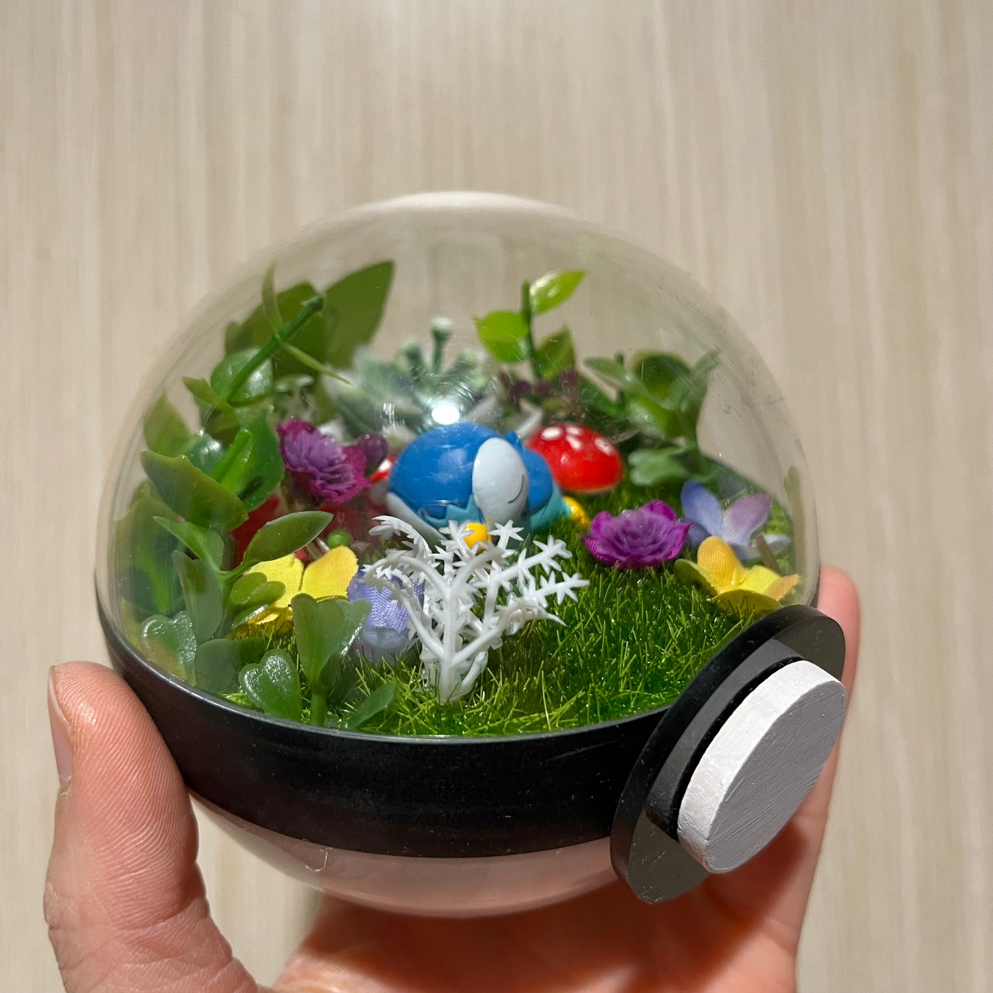 Sleeping Piplup Pokeball Terrarium *discount for older design*