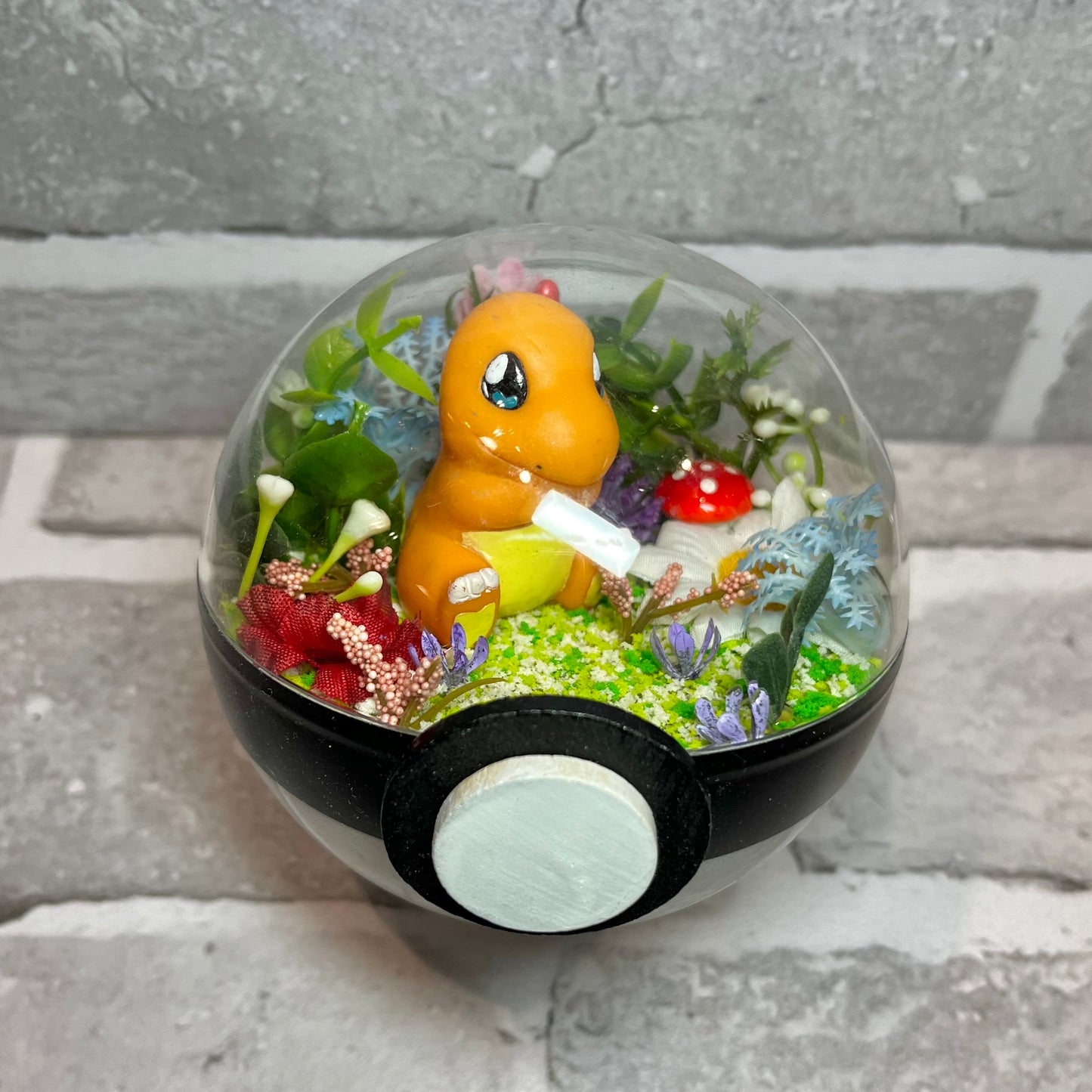 Charmander Pokeball Terrarium (discount for older design)