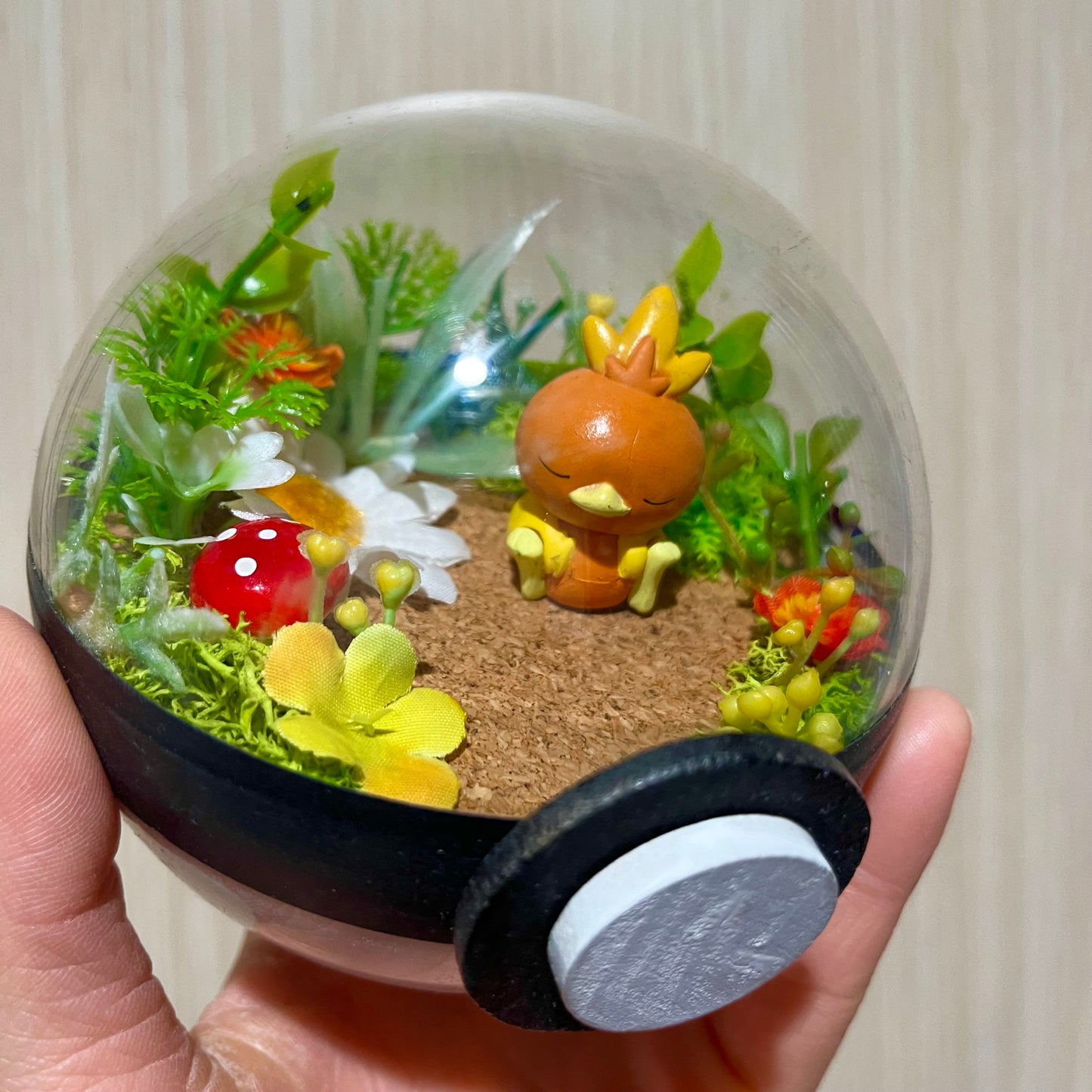 Sleeping Torchic Pokeball Terrarium *discount for older design*