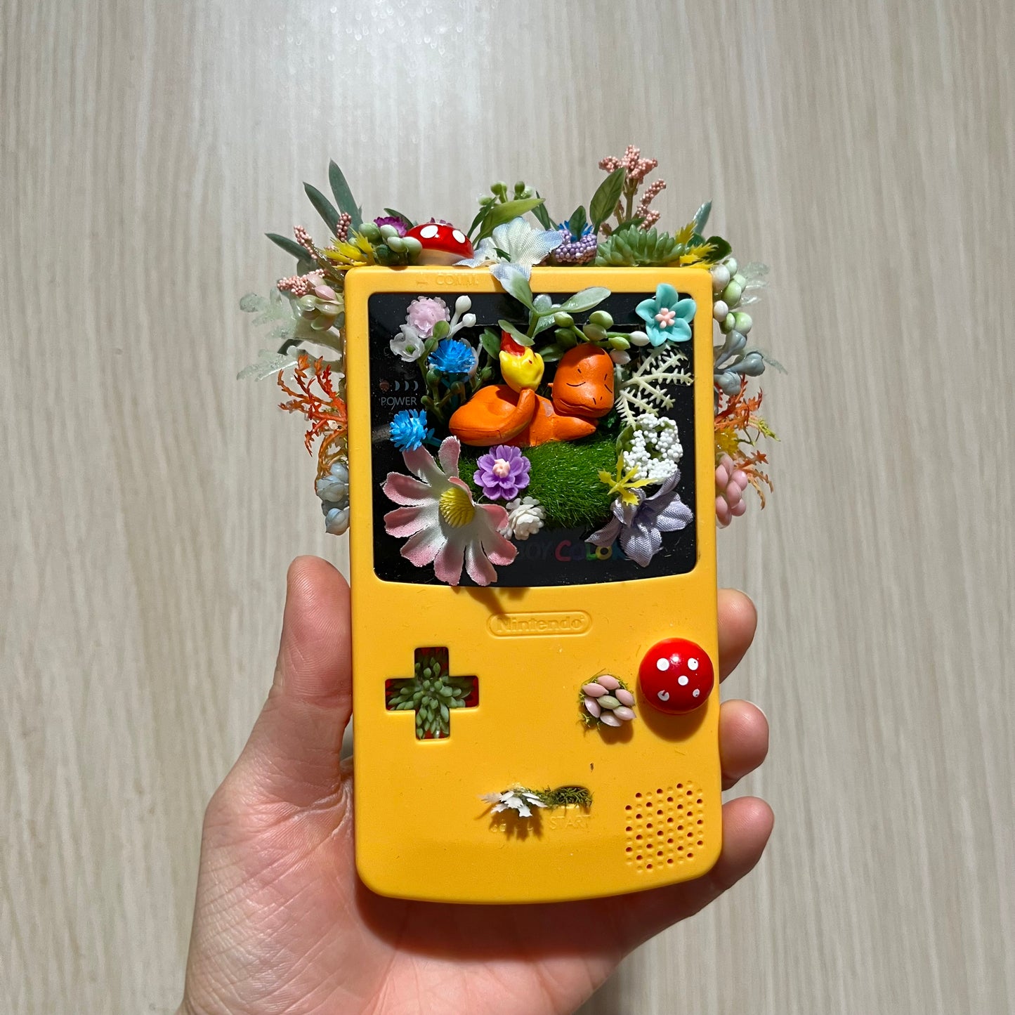 Charmander Gameboy Terrarium