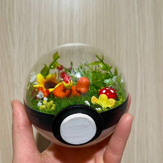 Sleepy Charmander Foresty Pokeball Terrarium *discount for older design*