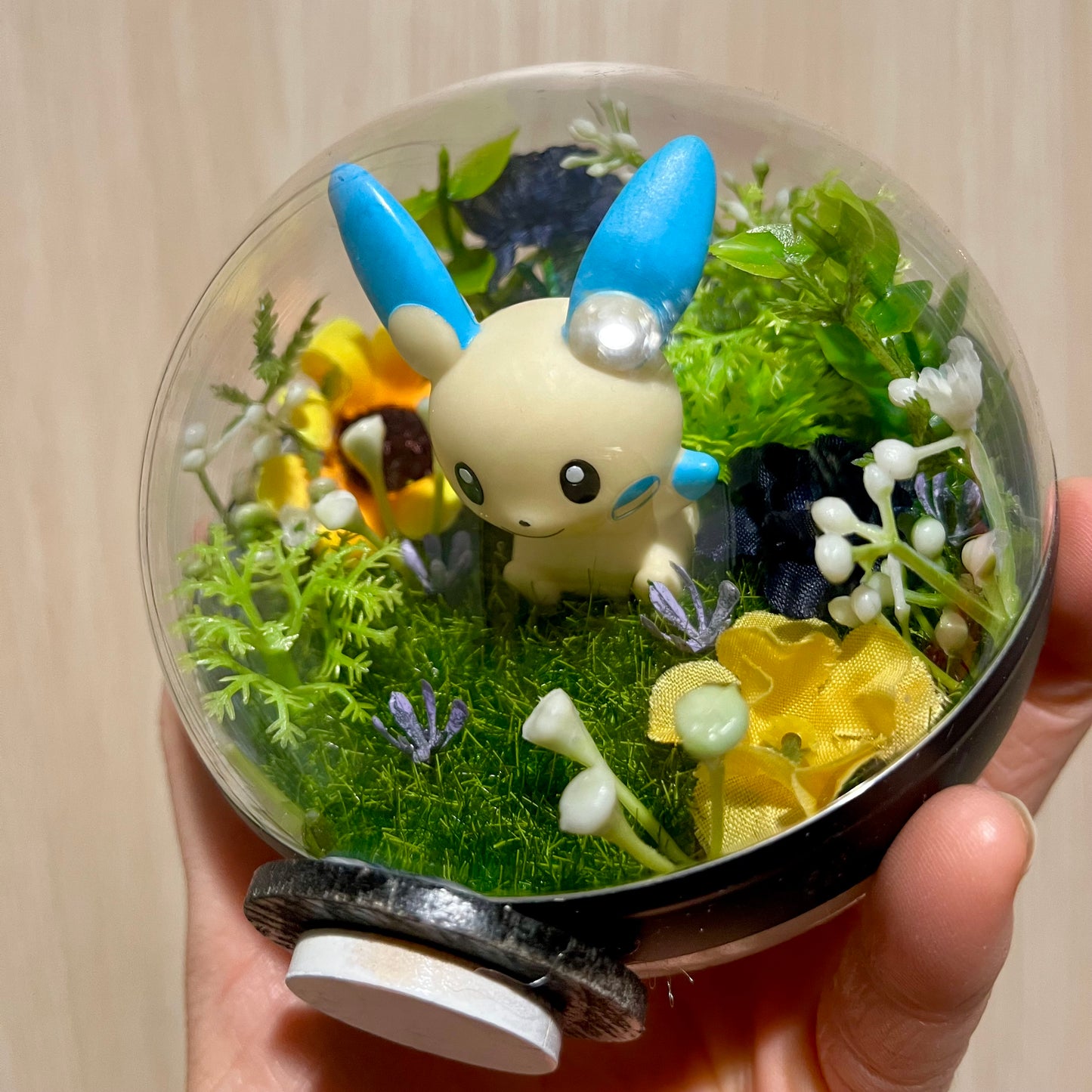 Minun Pokeball Terrarium *discount for older design*