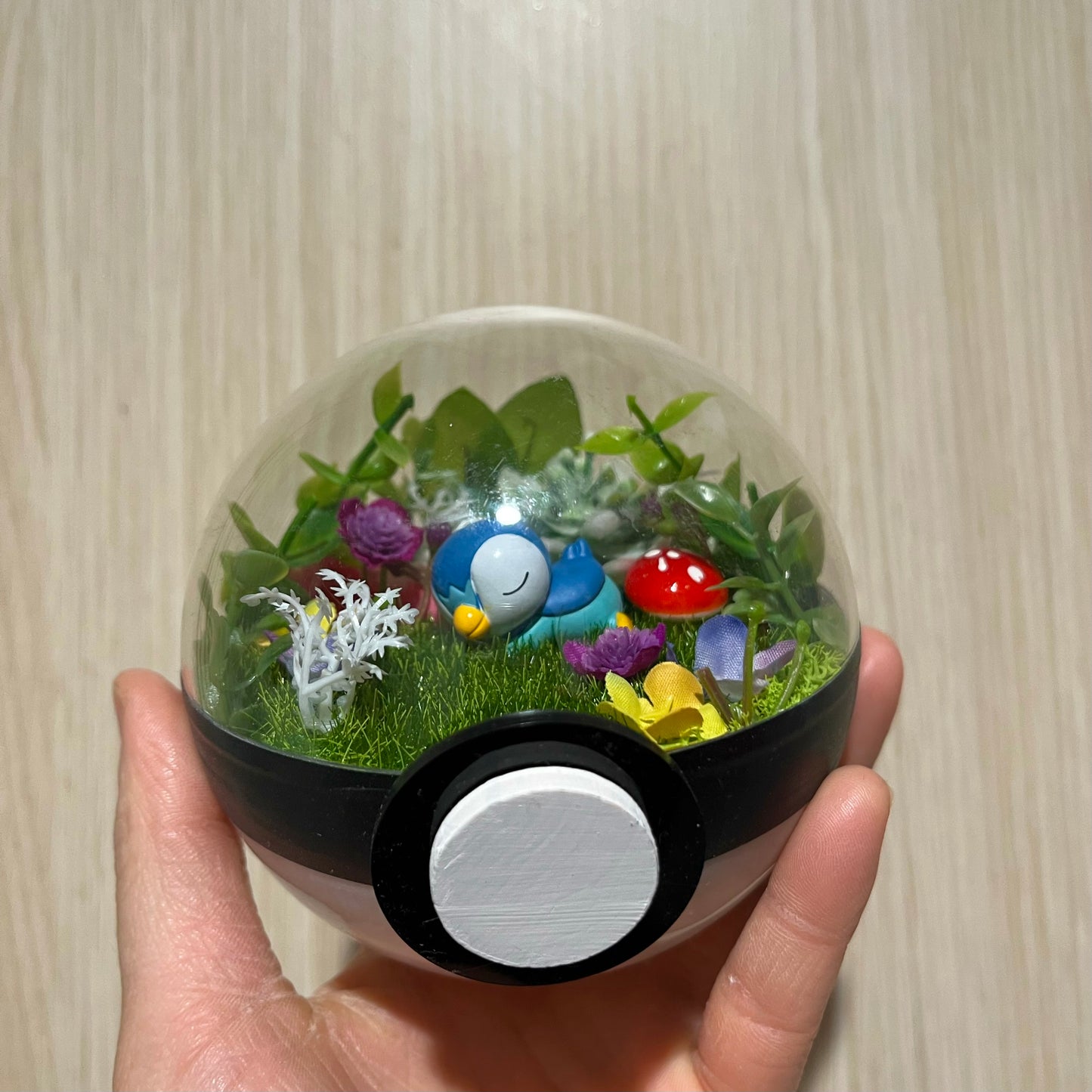 Sleeping Piplup Pokeball Terrarium *discount for older design*