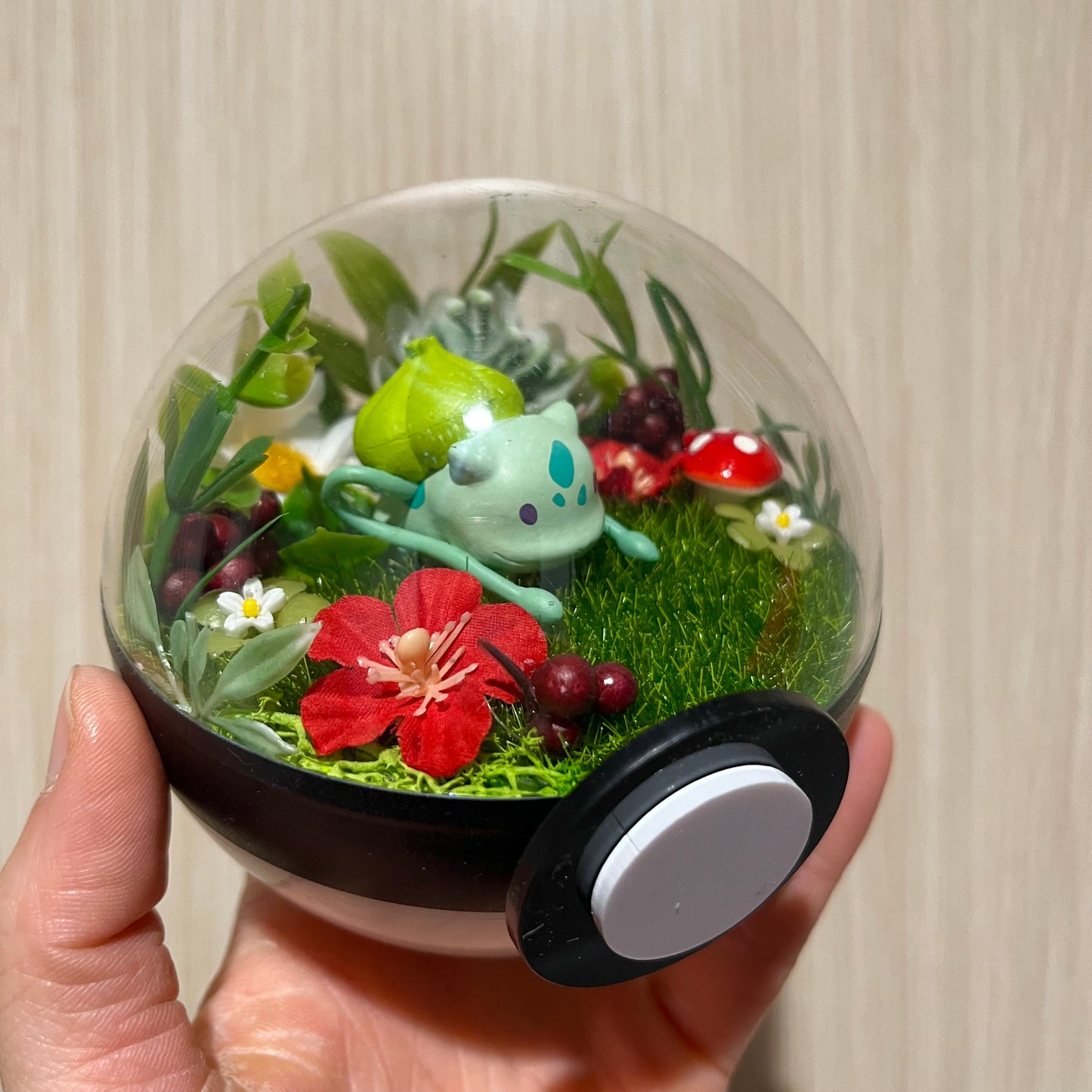 Ditto Bulbasaur Pokeball Terrarium *discount for older design*