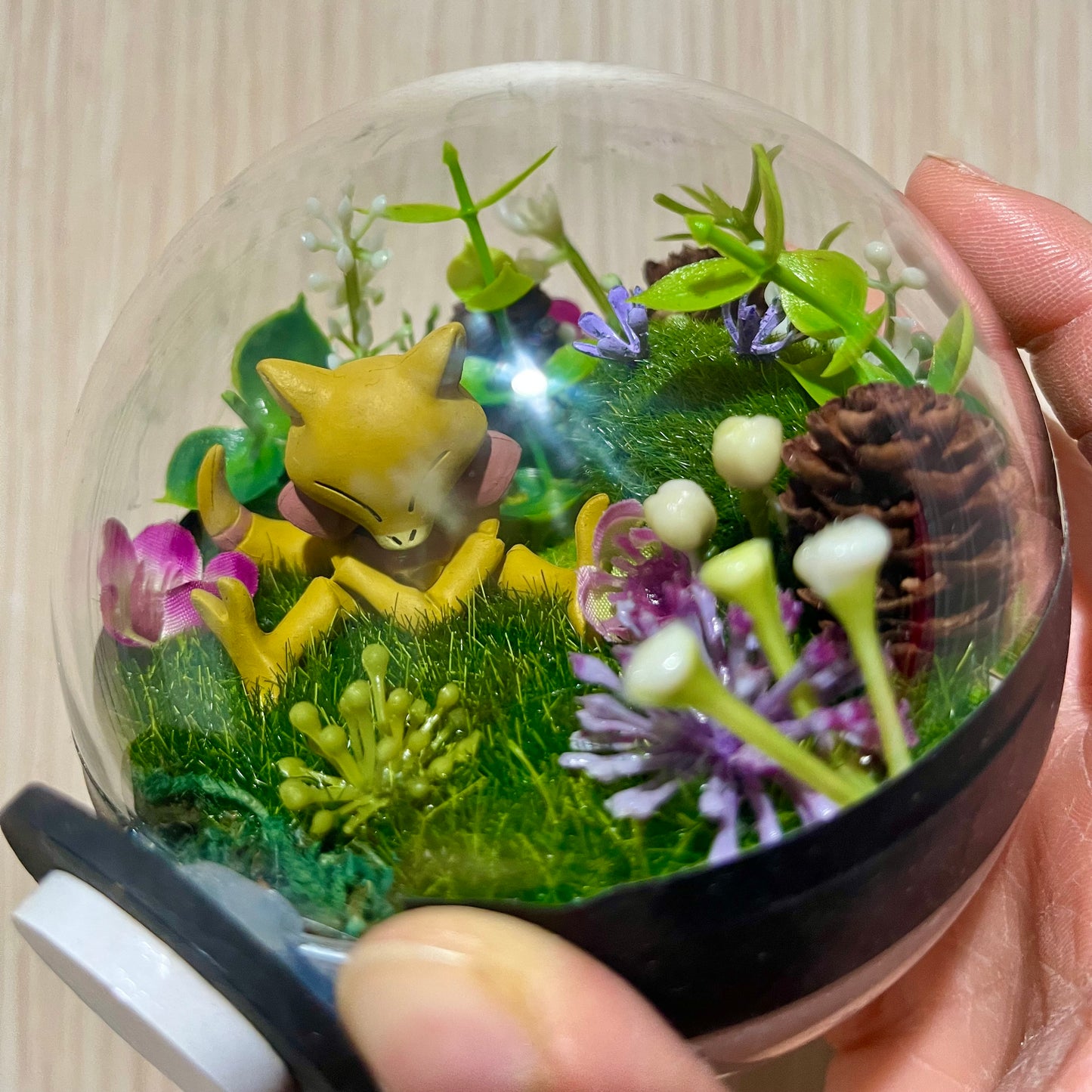 Abra Foresty Pokeball Terrarium *discount for older design*