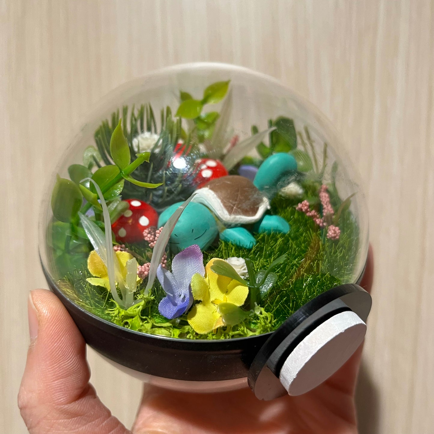 Sleeping Squirtle Forest Pokeball Terrarium *discount for older design*