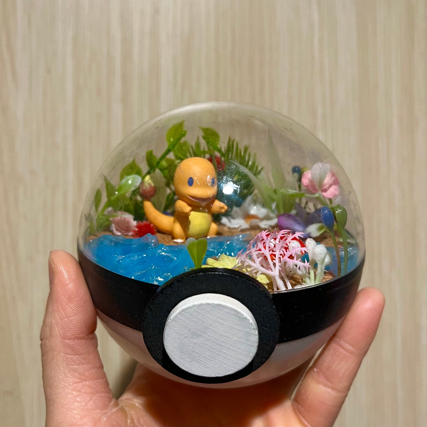 Ditto Charmander Riverside Pokeball Terrarium *discount for older design*