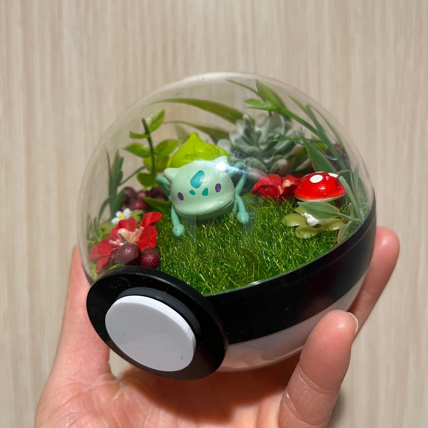 Ditto Bulbasaur Pokeball Terrarium *discount for older design*