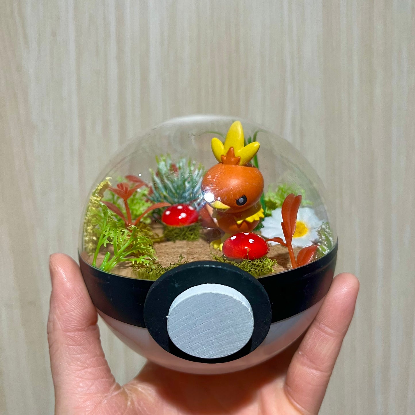 Torchic Pokeball Terrarium *discount for older design*