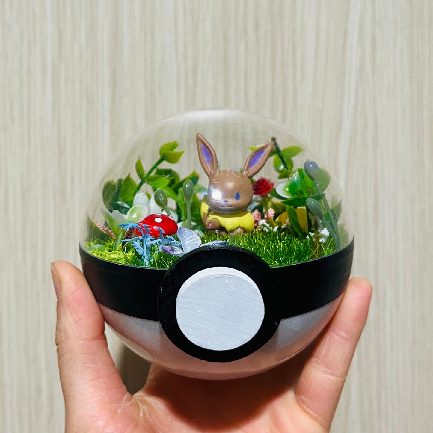 Ditto Eevee Pokeball Terrarium *discount for older design*