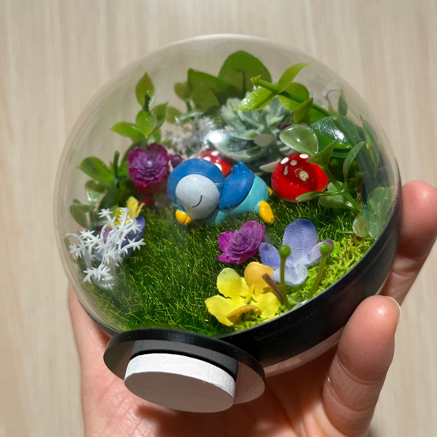 Sleeping Piplup Pokeball Terrarium *discount for older design*