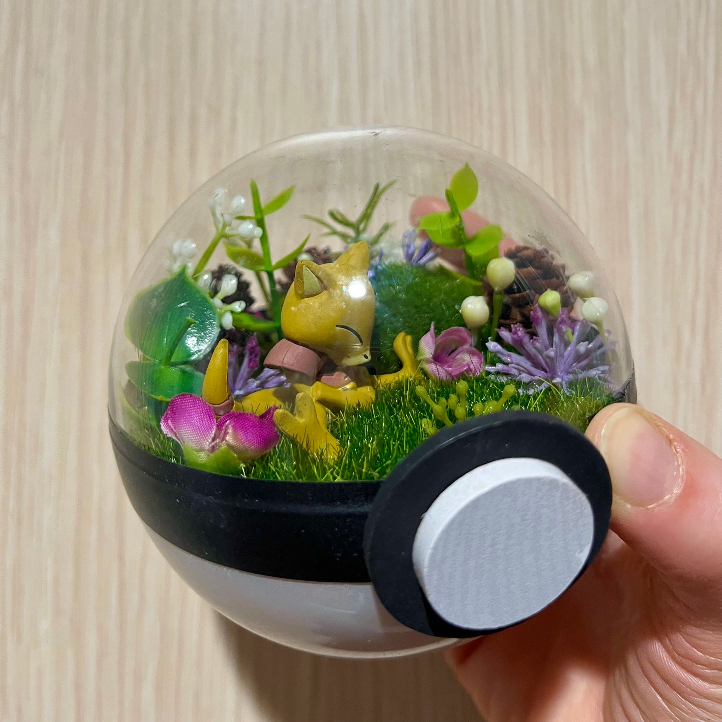 Abra Foresty Pokeball Terrarium *discount for older design*