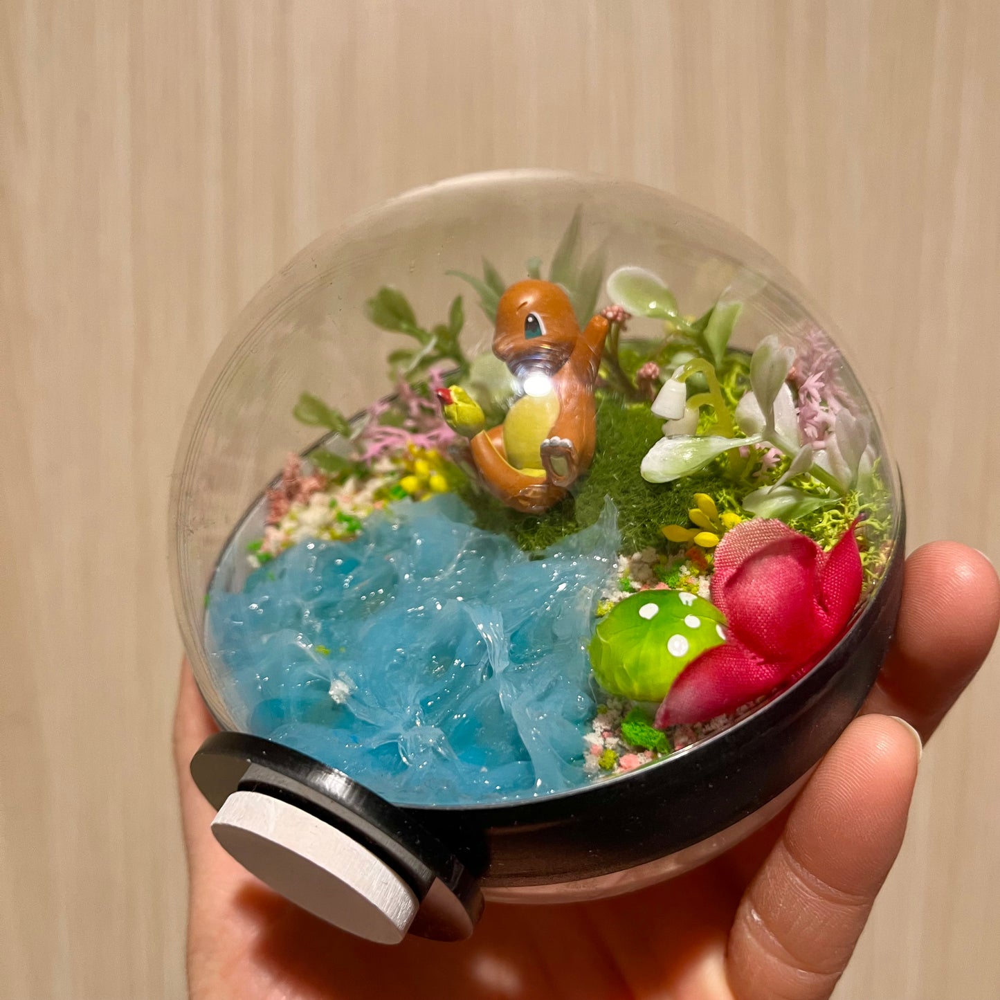 Charmander Riverside Pokeball Terrarium *discount for older design*