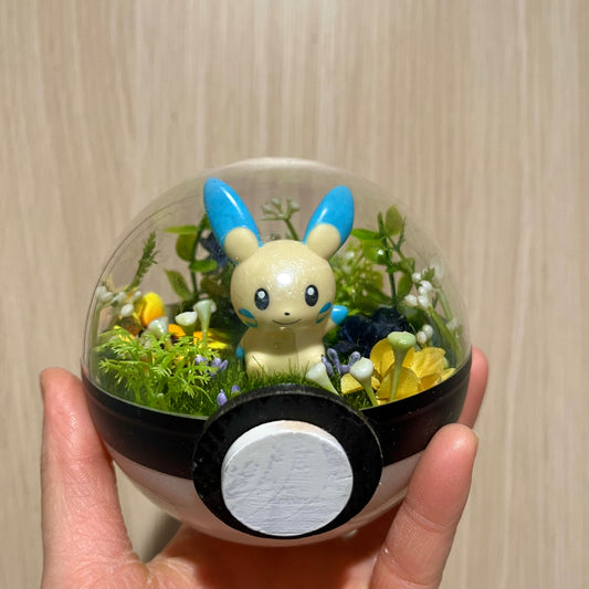 Minun Pokeball Terrarium *discount for older design*