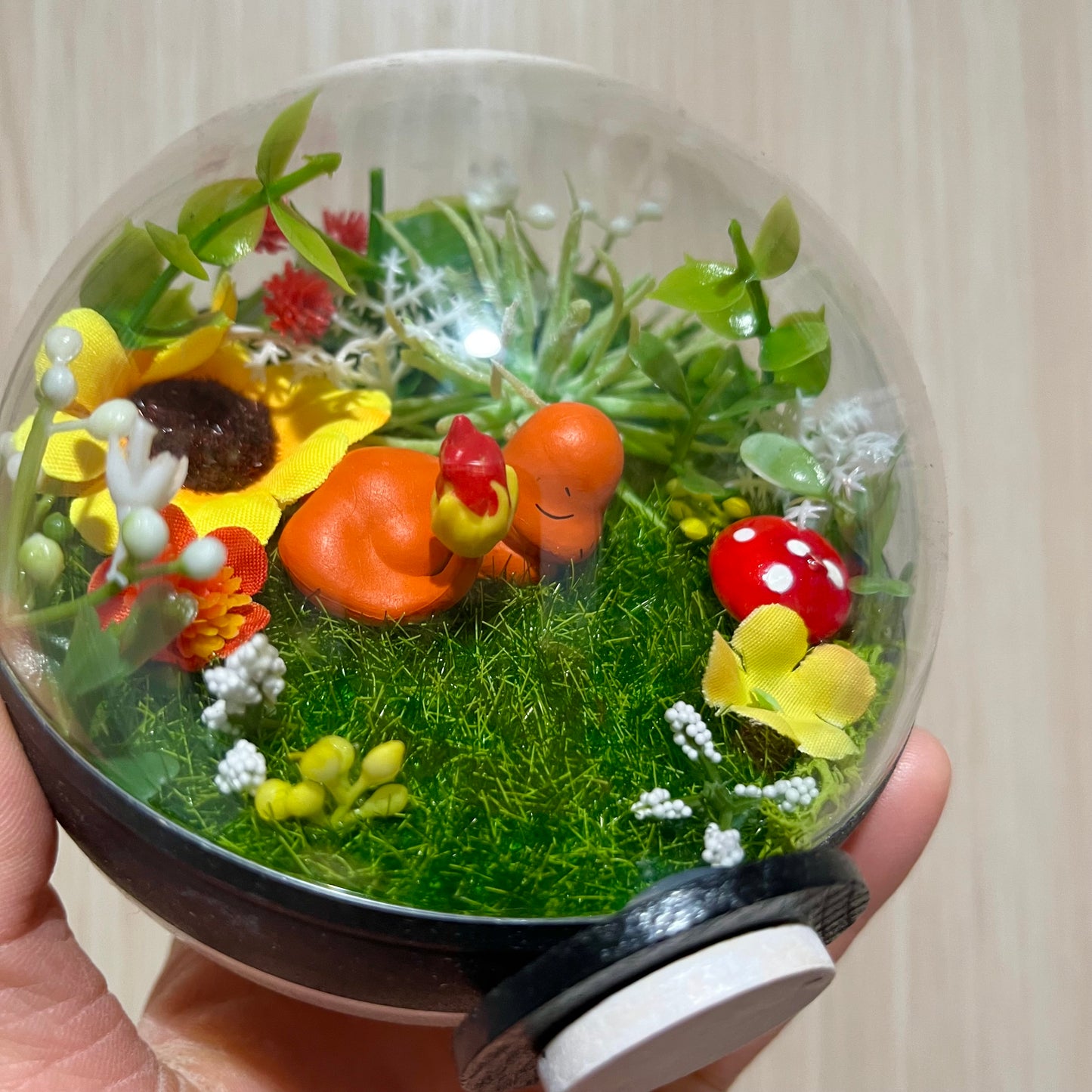 Sleepy Charmander Foresty Pokeball Terrarium *discount for older design*