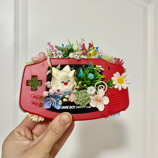 Togepi Gameboy Terrarium