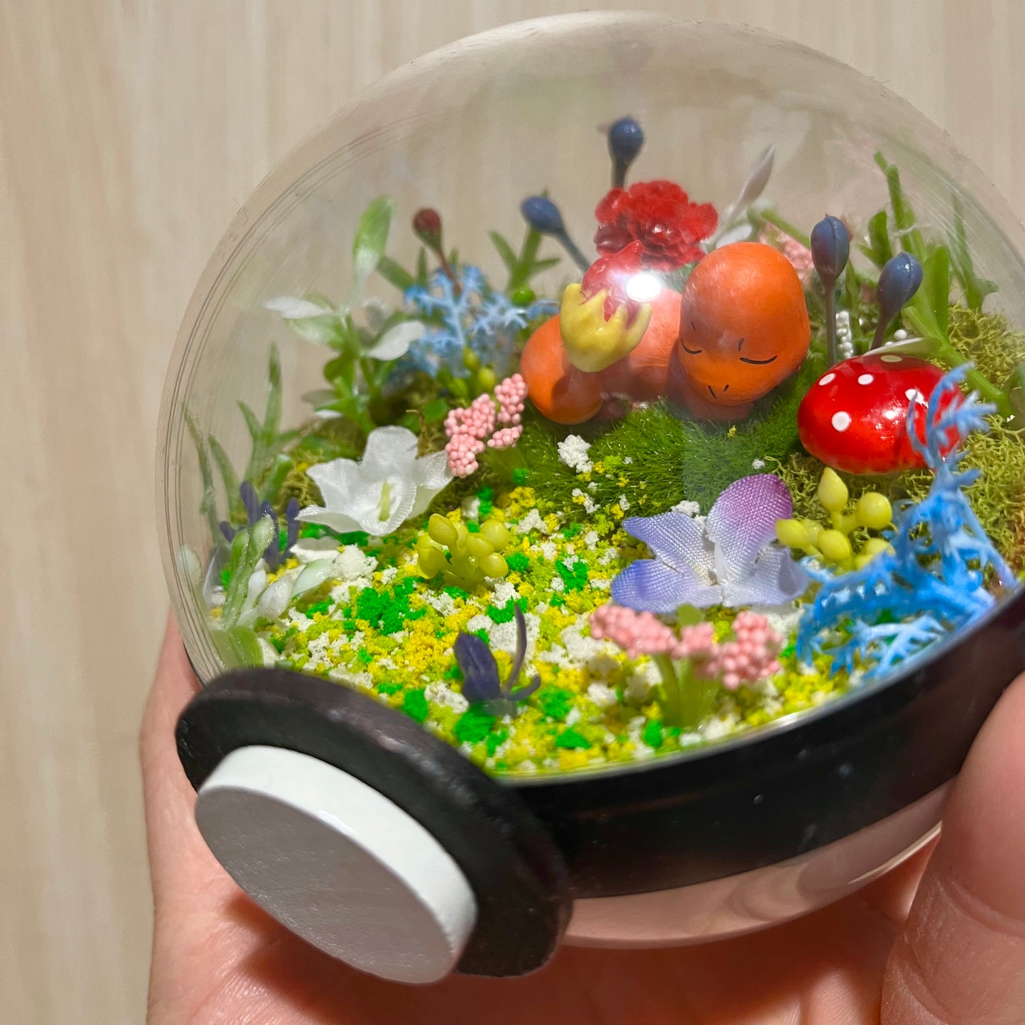 Sleeping Charmander Garden Pokeball Terrarium *discount for older design*