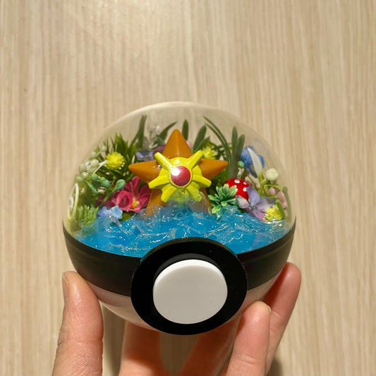 Staryu Pokeball Terrarium