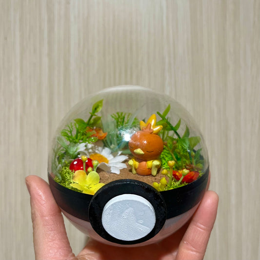 Sleeping Torchic Pokeball Terrarium *discount for older design*