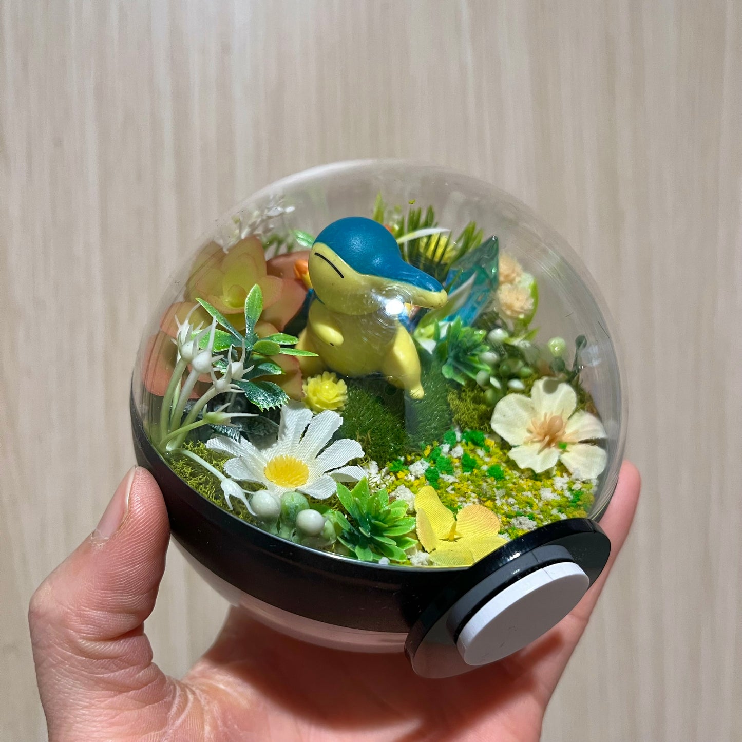 Cyndaquil Pokeball Terrarium