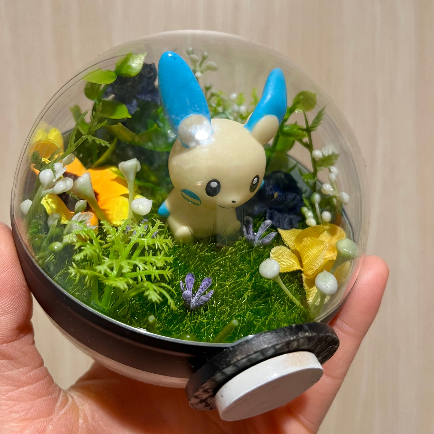 Minun Pokeball Terrarium *discount for older design*