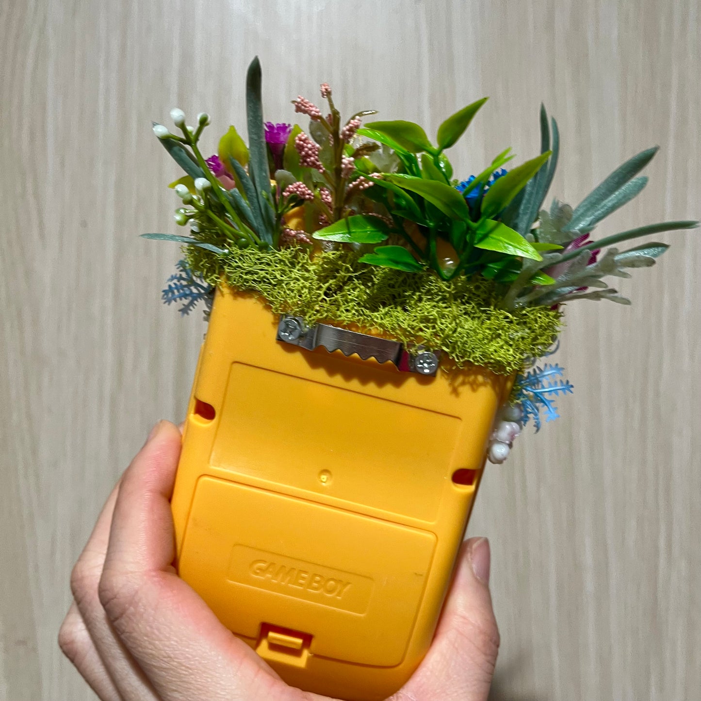 Zapdos Gameboy Terrarium