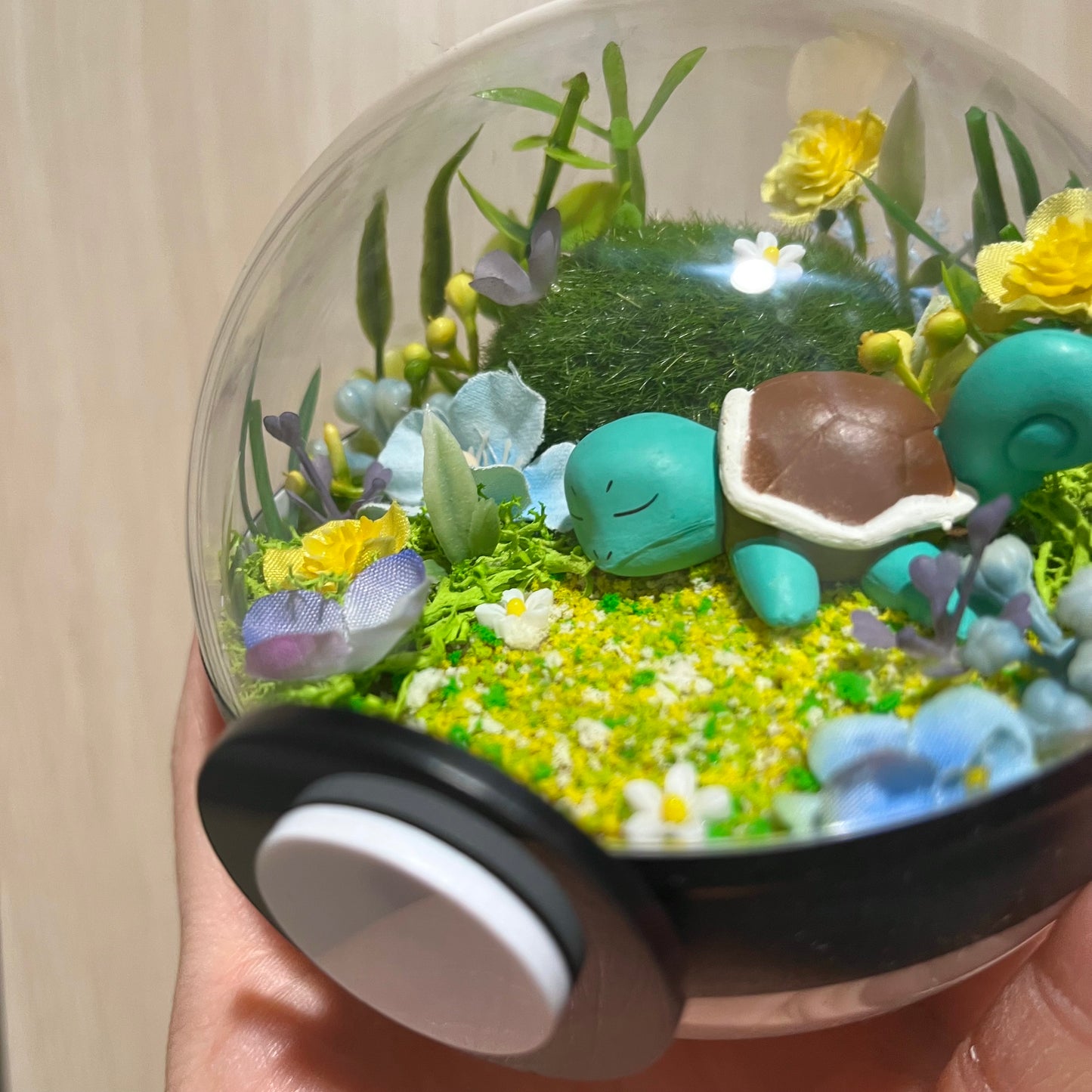 Sleeping Squirtle Pokeball Terrarium *discount for flaw*