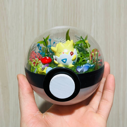 Togepi Pokeball Terrarium