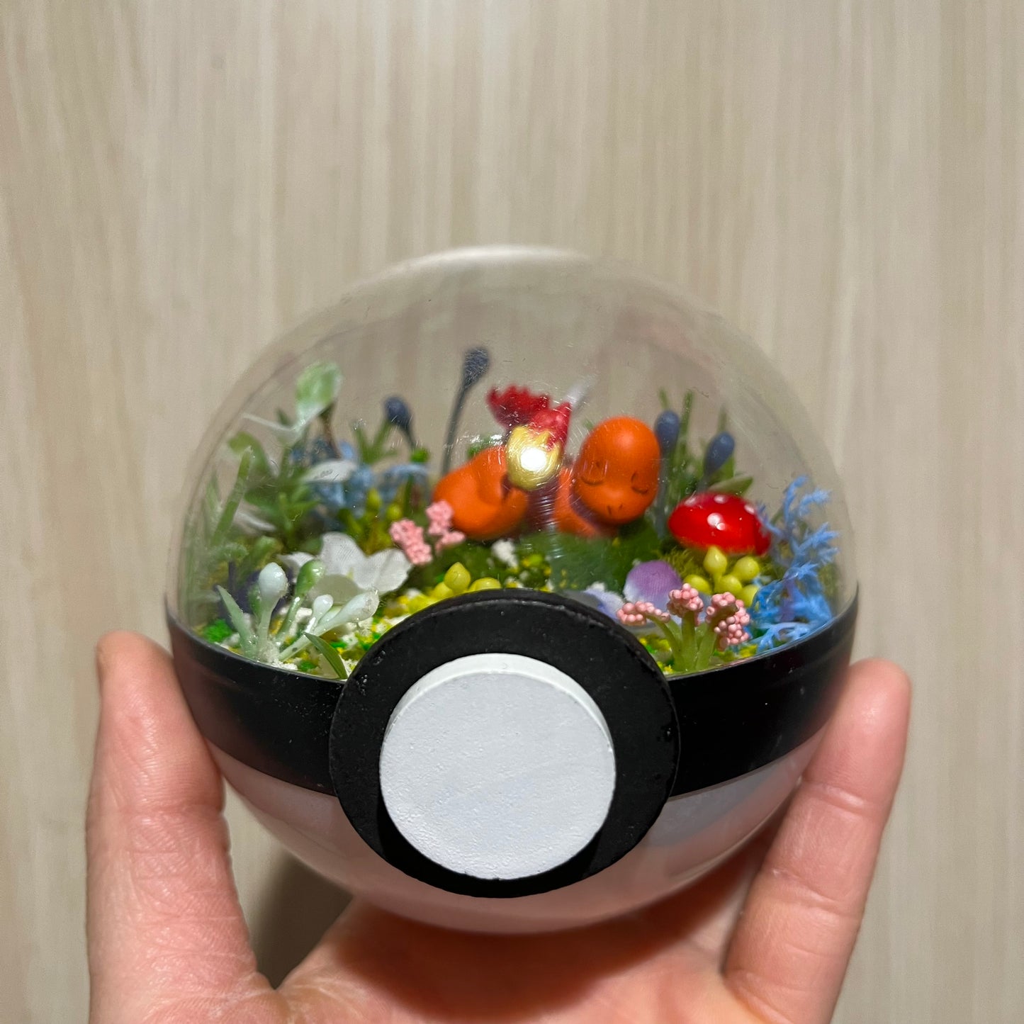 Sleeping Charmander Garden Pokeball Terrarium *discount for older design*