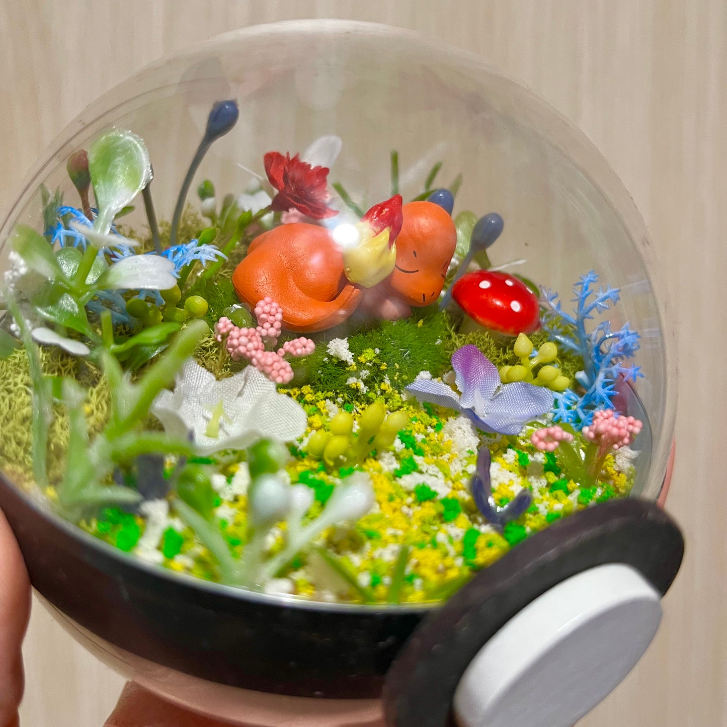 Sleeping Charmander Garden Pokeball Terrarium *discount for older design*