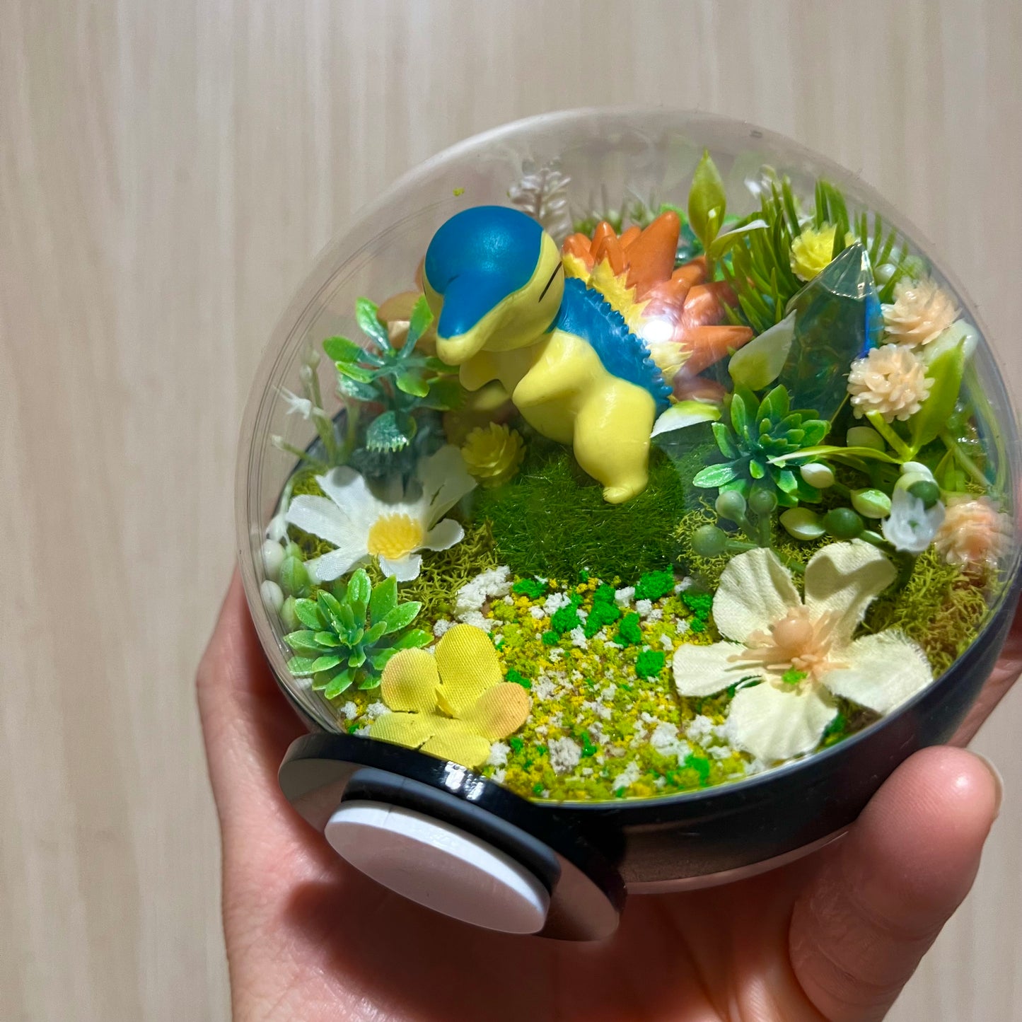 Cyndaquil Pokeball Terrarium