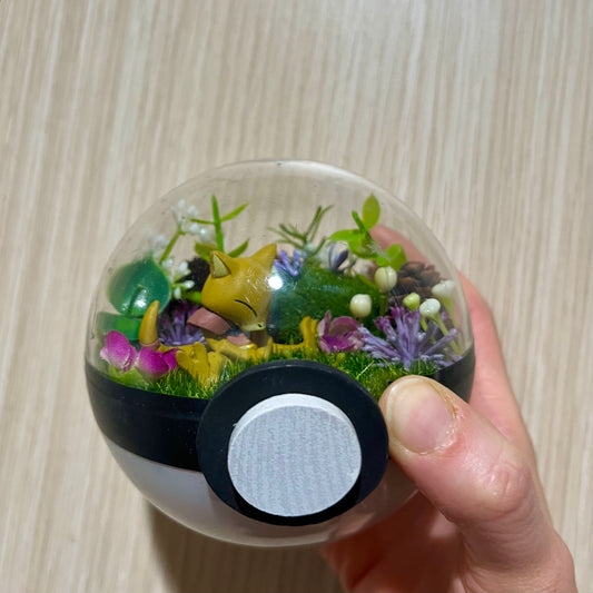 Abra Foresty Pokeball Terrarium *discount for older design*